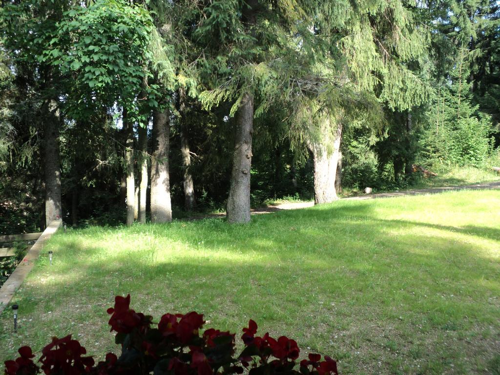 Cabana Suvenirurilor Scarisoara  Esterno foto