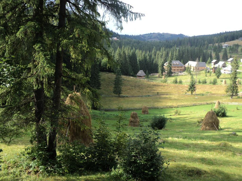 Cabana Suvenirurilor Scarisoara  Esterno foto