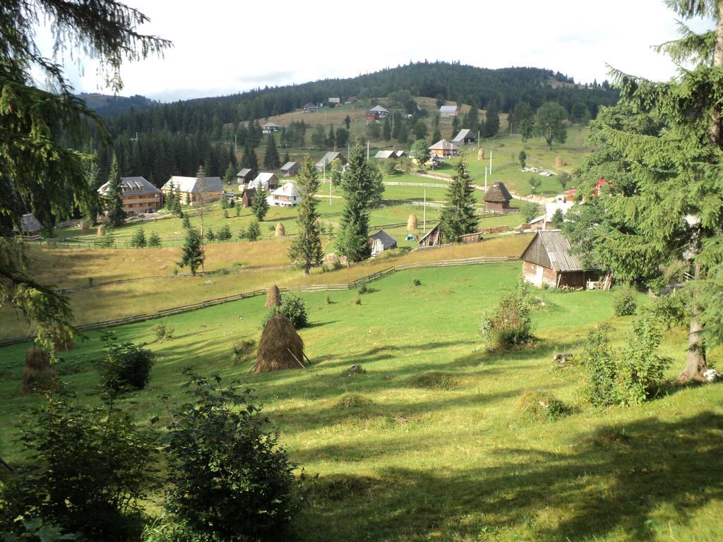 Cabana Suvenirurilor Scarisoara  Esterno foto