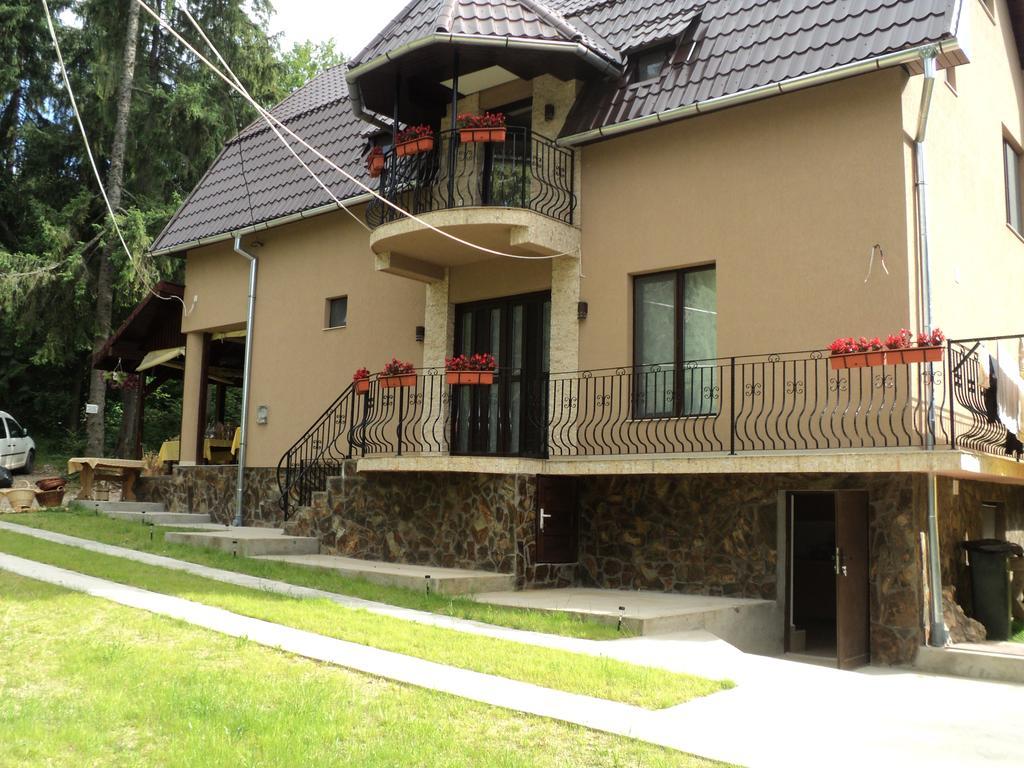 Cabana Suvenirurilor Scarisoara  Esterno foto