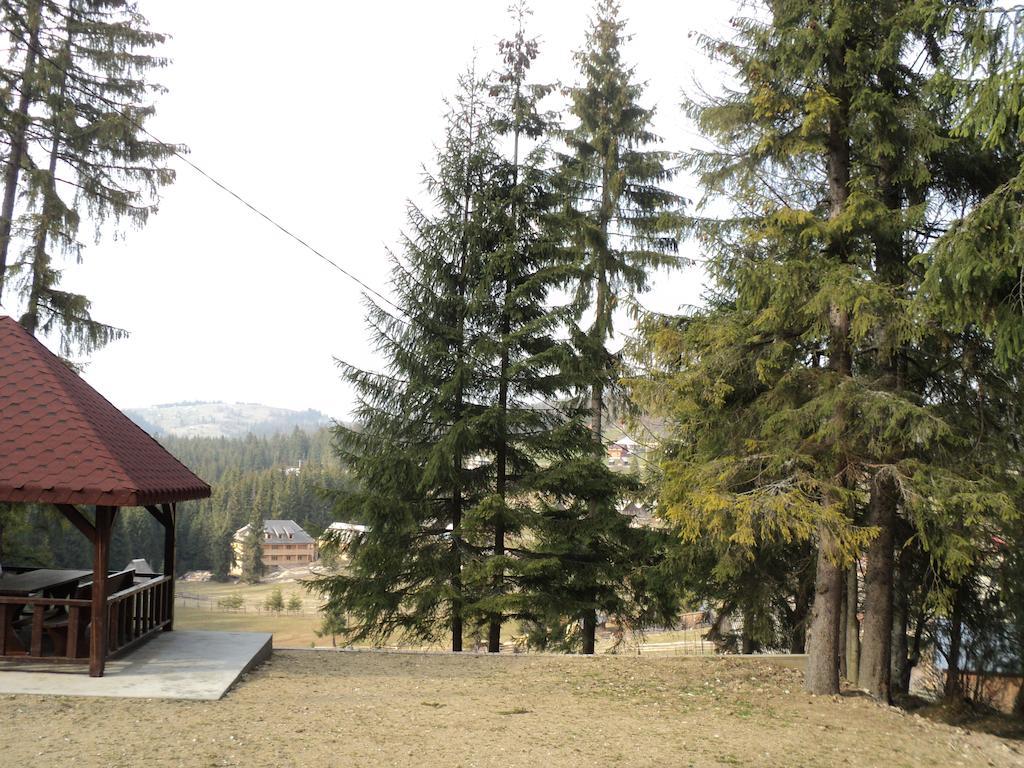 Cabana Suvenirurilor Scarisoara  Esterno foto