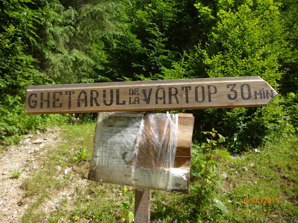 Cabana Suvenirurilor Scarisoara  Esterno foto