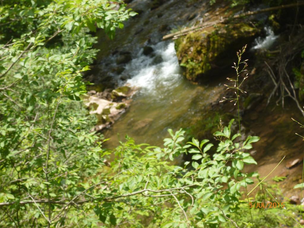 Cabana Suvenirurilor Scarisoara  Esterno foto