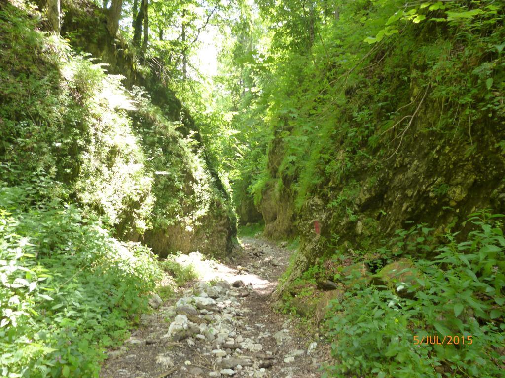Cabana Suvenirurilor Scarisoara  Esterno foto
